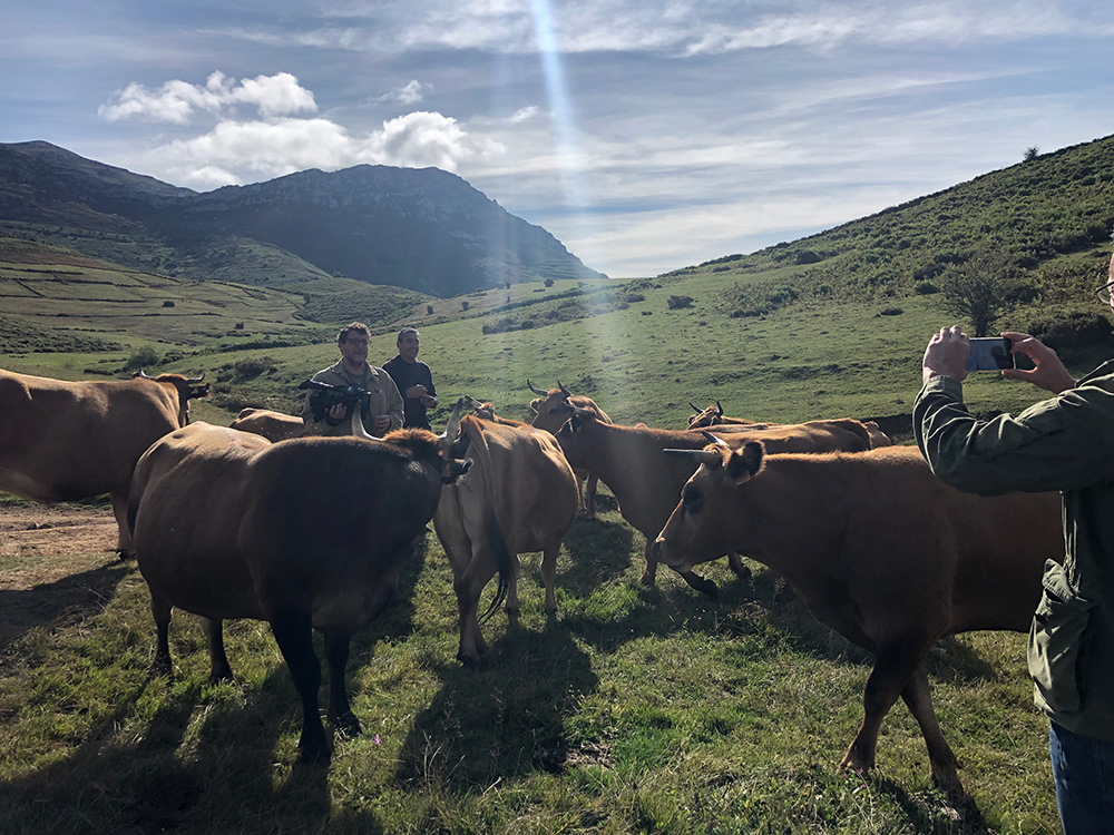 “Ternera Asturiana: la mejor carne de Europa” se convierte en un mensaje millonario.