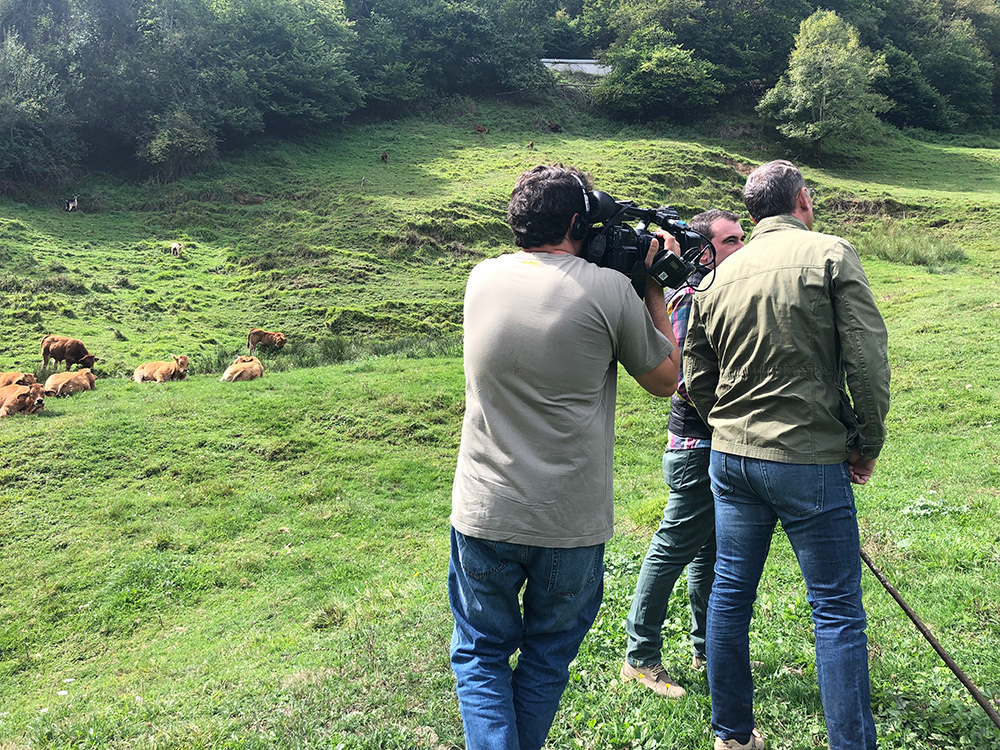 “Ternera Asturiana: la mejor carne de Europa” se convierte en un mensaje millonario.