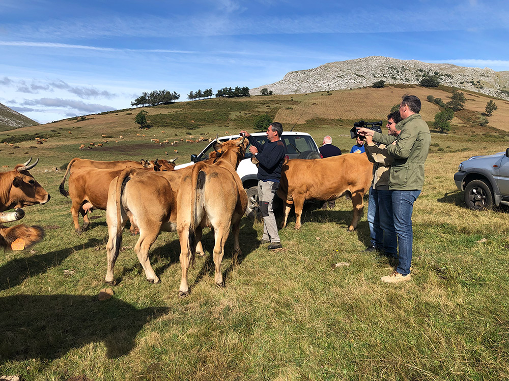 “Ternera Asturiana: la mejor carne de Europa” se convierte en un mensaje millonario.