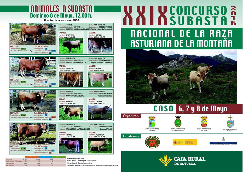 XXIX Concurso Subasta Nacional de Raza Asturiana de la Montaña