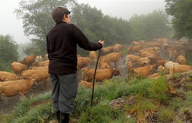 IV Jornadas de la Ternera Asturiana del Cebadero de las Ubiñas-Valles del Oso