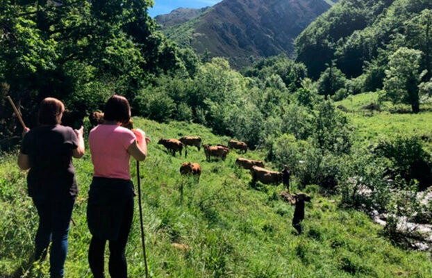 España Directo, #SubiendoAlPuertu con Ternera Asturiana