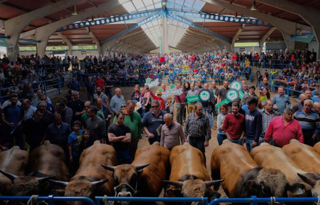 Ternera Asturiana se va #DeFeria