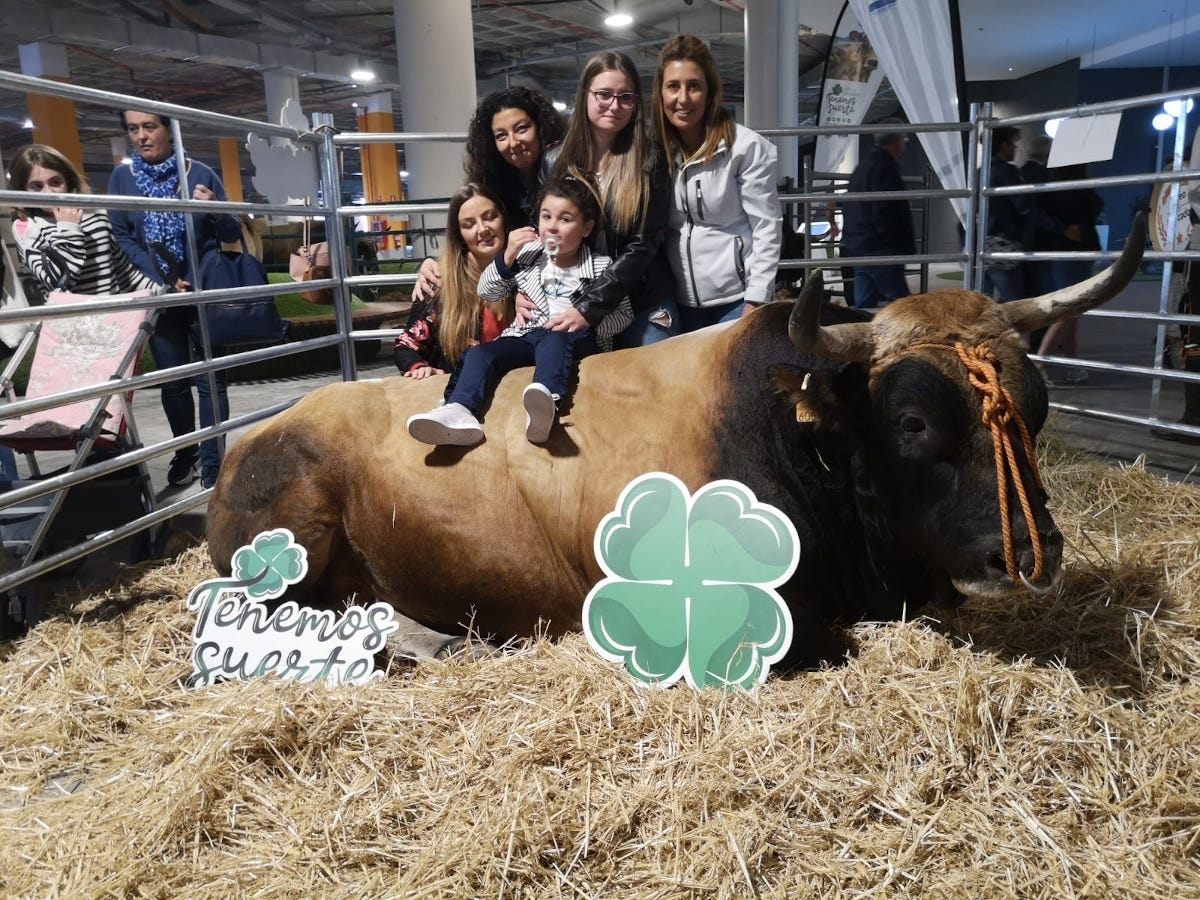 Ternera Asturiana: solidaridad y responsabilidad social.