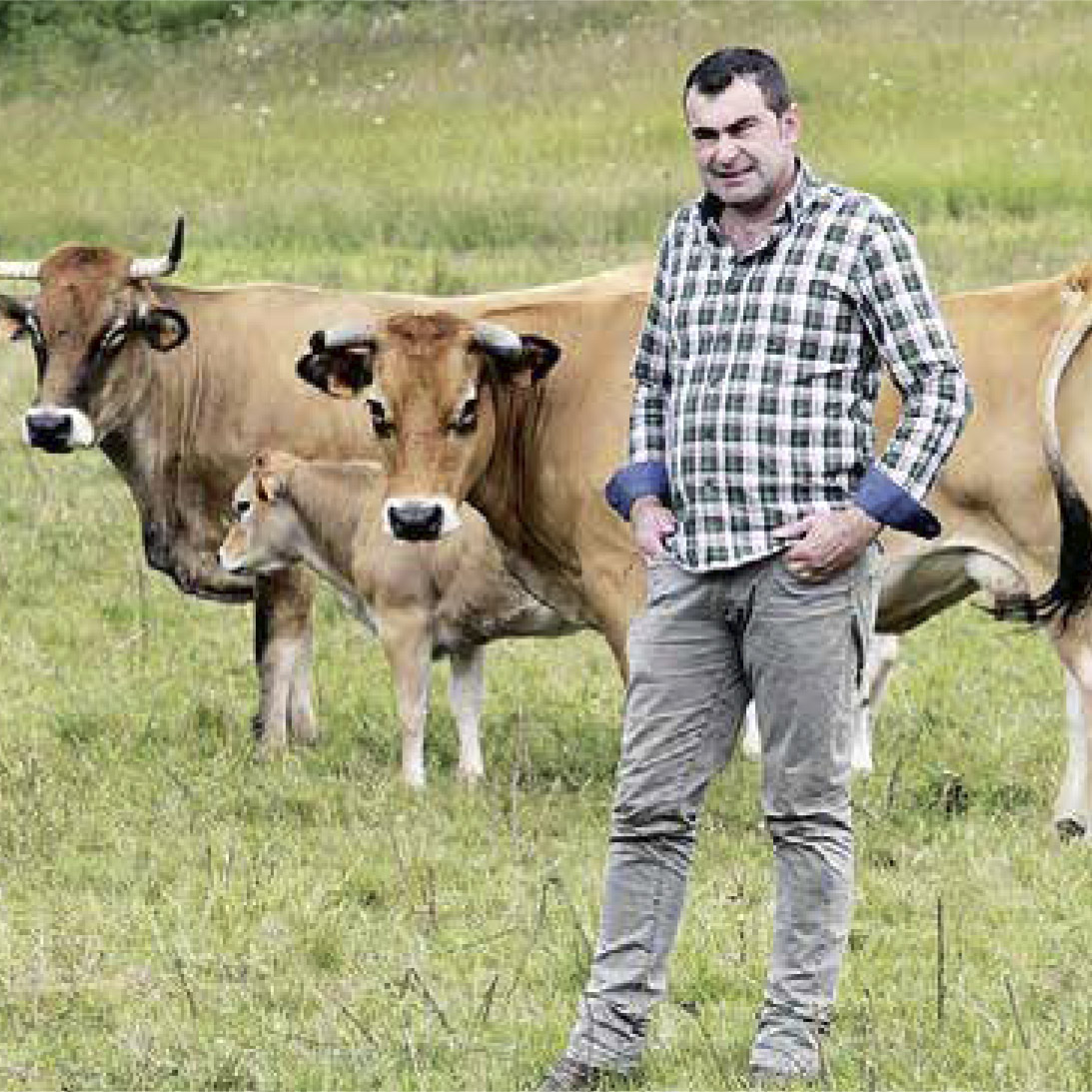 ¿Cómo está afectando la situación de estado de alarma para hacer frente al coronavirus a IGP Ternera Asturiana?