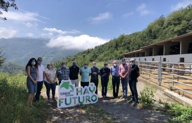 La ganadería de vacuno asturiana, unida por el futuro del sector.