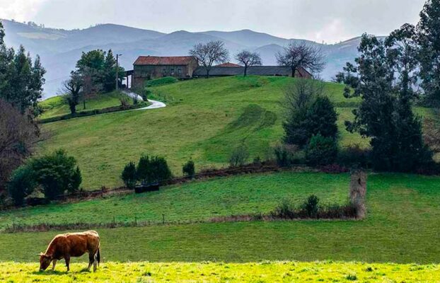 El Principado aprueba los nuevos estatutos de las denominaciones de origen e indicaciones geográficas protegidas, que convierten sus consejos en corporaciones de derecho público