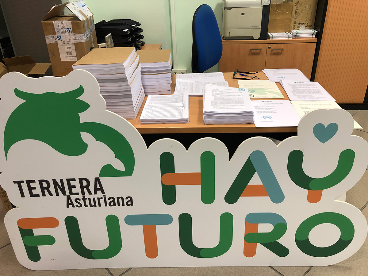 El pasado 8 de octubre, por acuerdo del pleno del Consejo Regulador, se ha convocado proceso electoral para la renovación de vocales del mismo.