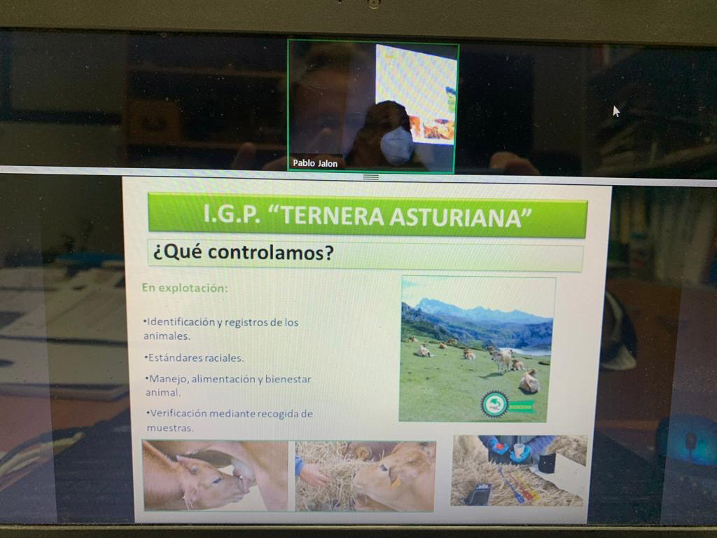 Ternera Asturiana como ejemplo de las garantías adicionales 