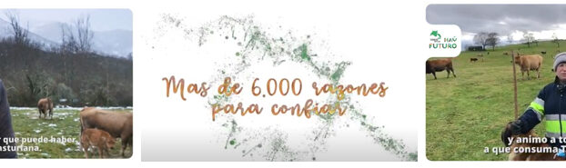 “Más 6.000 razones para confiar”: ternera asturiana, en navidad y siempre.