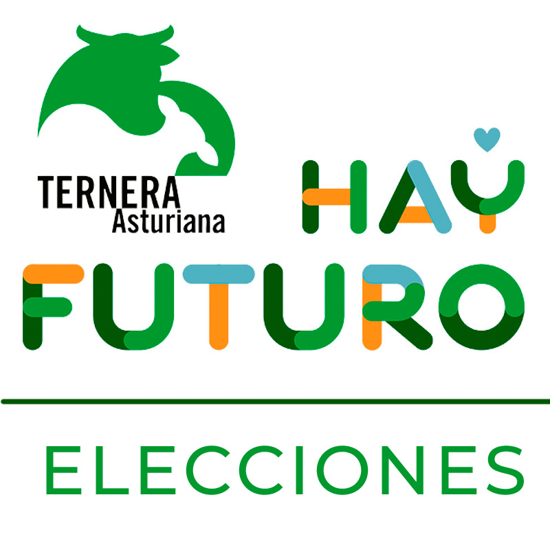 Lugares habilitados para las votaciones en las elecciones de Ternera Asturiana.