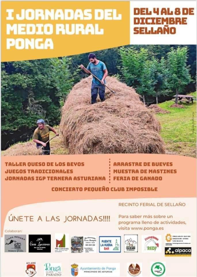 Jornadas gastronómicas de Ternera Asturiana en Ponga.