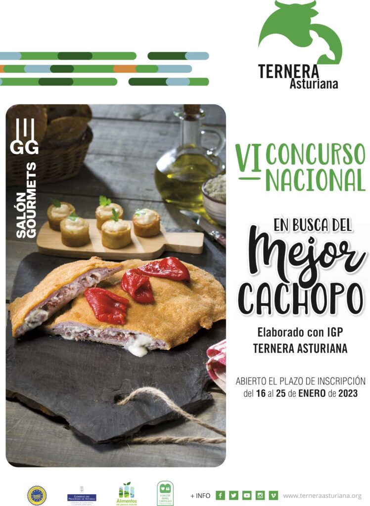 VI CONCURSO NACIONAL