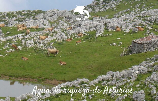 El agua de Asturias es una de las señas de identidad del principado