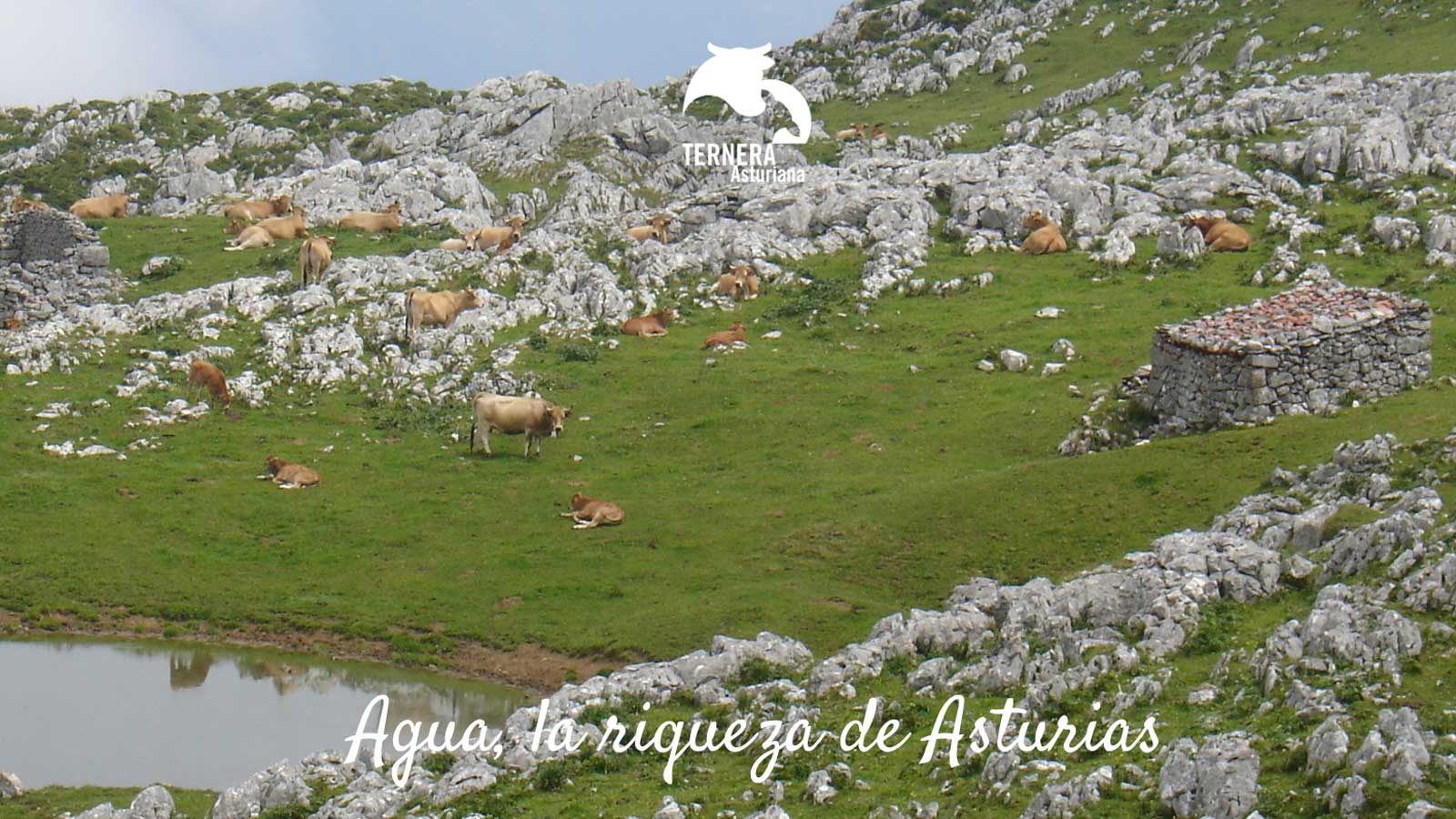 El agua de Asturias es una de las señas de identidad del principado