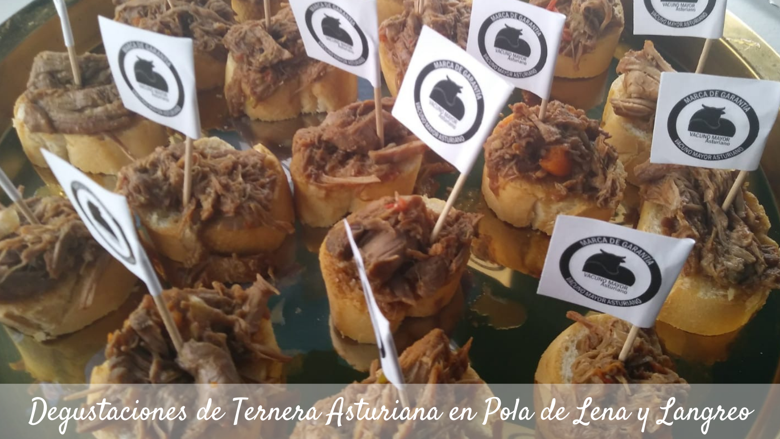 Ternera Asturiana llena de sabor los certámenes ganaderos de Pola de Lena y Langreo
