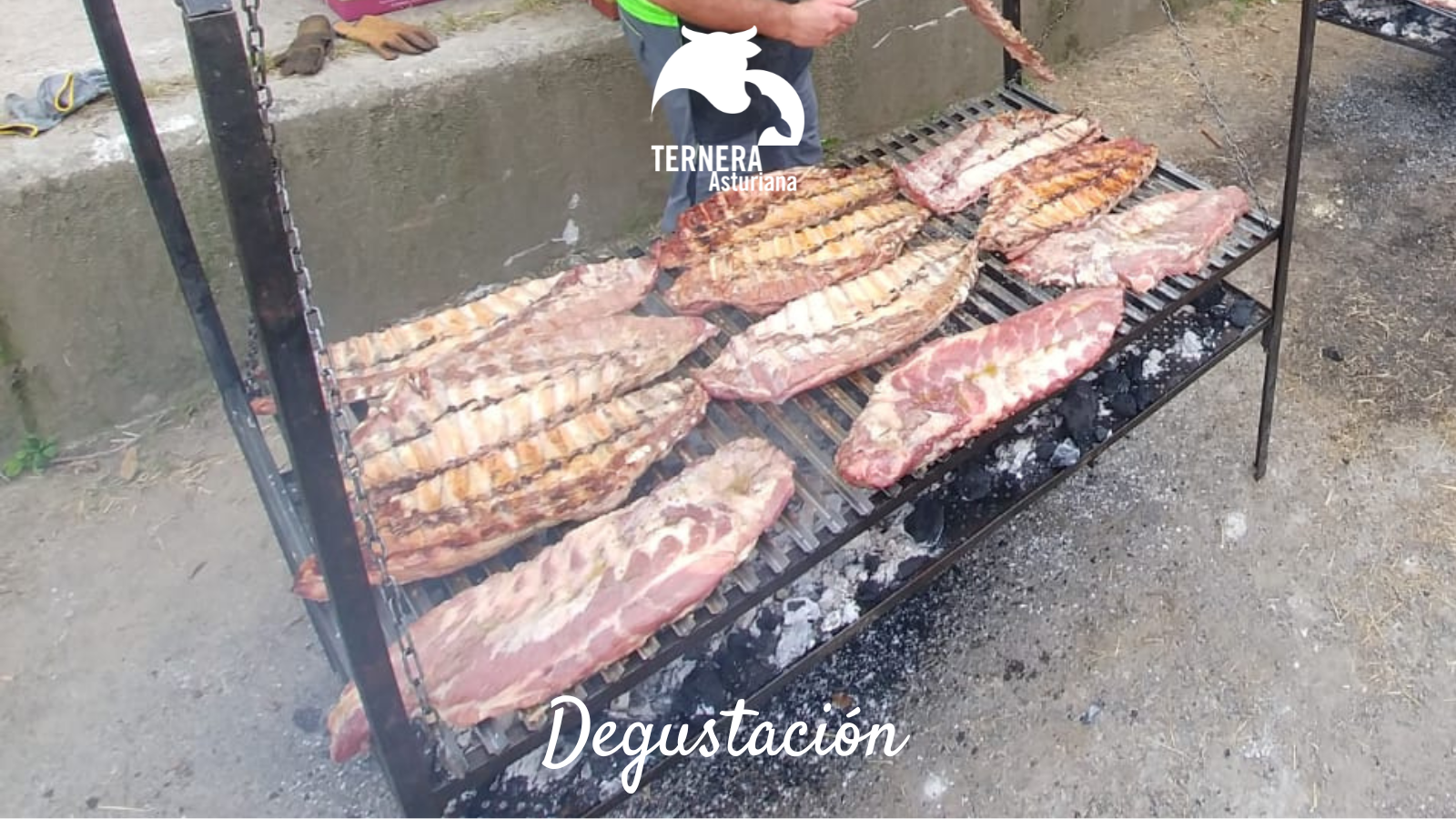 Ternera Asturiana llena de sabor los certámenes ganaderos de Pola de Lena y Langreo