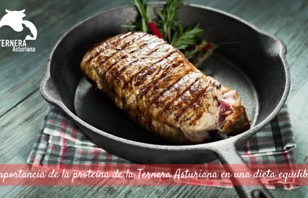 Las proteínas de la Ternera Asturiana y su importancia en una dieta equilibrada