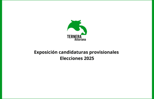 Exposición candidaturas provisionales elecciones 2025