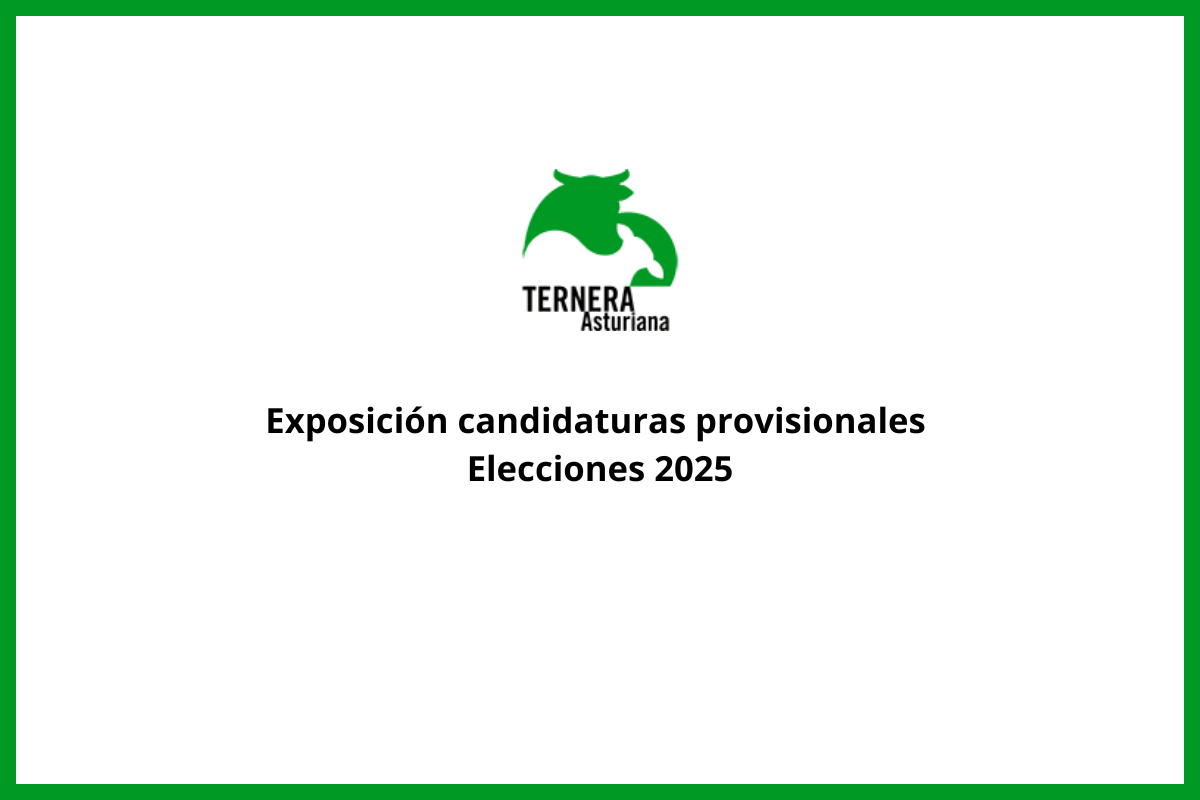 Exposición candidaturas provisionales elecciones 2025