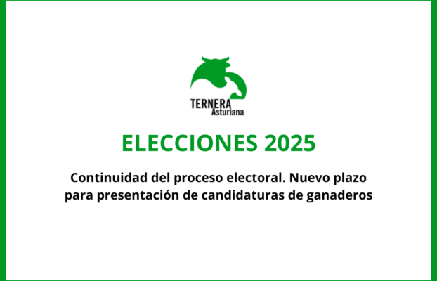 La Junta Electoral del Consejo Regulador de la IGP «Ternera Asturiana» mantiene el proceso electoral y solicita a la Consejería que se abstenga de designar una Comisión Gestora