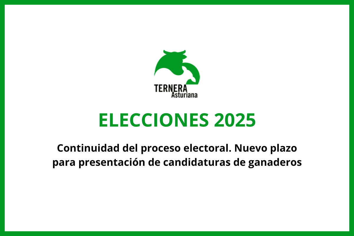 La Junta Electoral del Consejo Regulador de la IGP «Ternera Asturiana» mantiene el proceso electoral y solicita a la Consejería que se abstenga de designar una Comisión Gestora