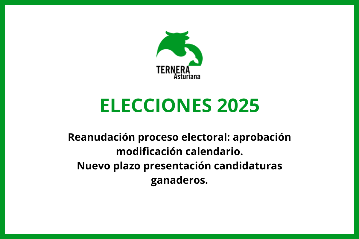 La Junta Electoral del Consejo Regulador de la IGP «Ternera Asturiana» reanuda el proceso electoral y aprueba la modificación del calendario que lo posibilita