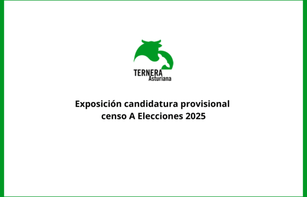 Exposición candidatura provisional censo A Elecciones 2025