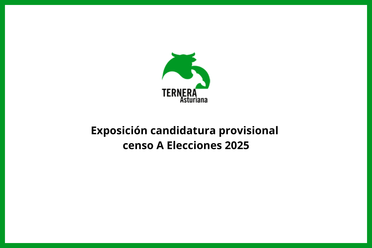 Exposición candidatura provisional censo A Elecciones 2025