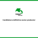Candidatura definitiva sector productor